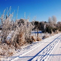 090109-wvdl-winter in HaDee  50 